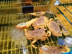 -张生记(双菱店)