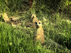 -三分地生态园·儿童乐园