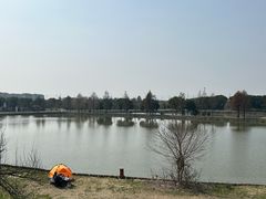 -广富林郊野公园