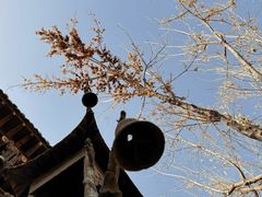 -张掖大佛寺景区