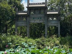 -西溪国家湿地公园