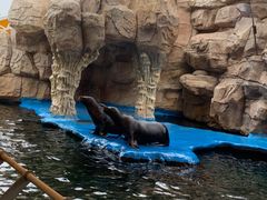 -华夏文旅海洋公园