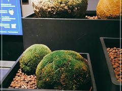 -天瑞轩·粤菜餐厅