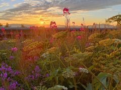 -白草畔自然风景区