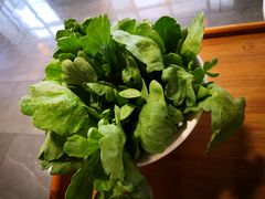 茼蒿-竹叶涮肉坊(总店)