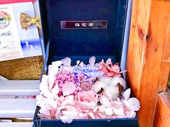 -参差咖啡(水果湖公园店)