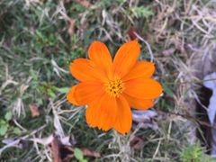 -泉州海丝野生动物世界