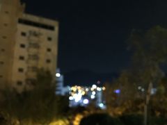 -汉阳猪蹄