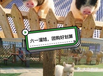 六一去哪里玩，来跟小动物一起玩耍吧