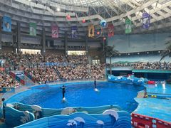 -海合安成都极地海洋公园