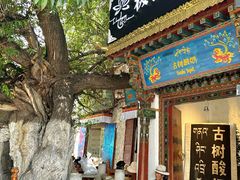 -古树酸奶(八廓南街店)