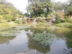 -东莞植物园