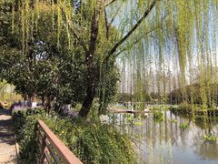 -圩墩遗址公园