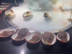 -悦鼎会海鲜姿造·宴会厅(东方明珠广场店)