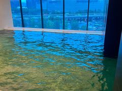 -斯博特游泳俱乐部(建业艾美酒店店)