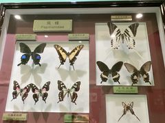 -上海昆虫博物馆