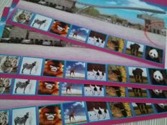 android_upload_pic-石家庄市动物园