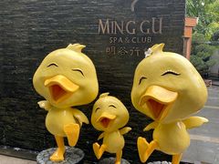 -明谷行馆·温泉