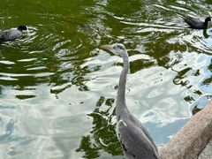 -海南热带野生动植物园
