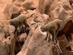 -昆明动物园