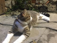 -苗湘食府(十年店)