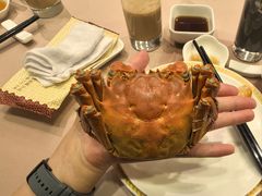 -王宝和酒家(黄浦店)