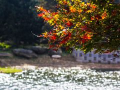 -庐山风景名胜区