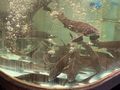 -贺庄·活鱼馆(珠吉路店)