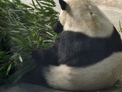 -青藏高原野生动物园