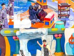 -海合安武汉极地海洋公园