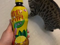-便利蜂(西城区远见名苑10号楼店)