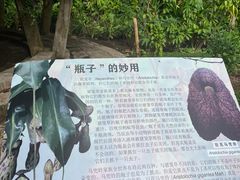 -中国科学院西双版纳热带植物园