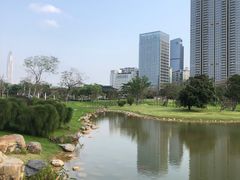 -香蜜公园