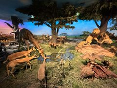 -国家自然博物馆