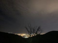 -好利来(兴华街店)