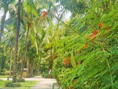 -三亚湾海居铂尔曼度假酒店