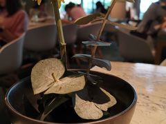-T館·花园艺术餐厅