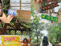 -海南热带野生动植物园