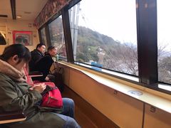 -伊豆观海列车