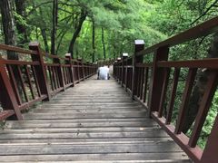 -陕西省红河谷森林公园