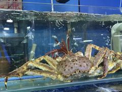 -三旗百汇商品城