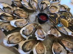 -Oyster Talks 四度蚝法餐厅