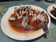 -西塘人家•黑金冠本地好店