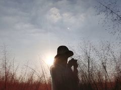 -鹅湖玫瑰文化园