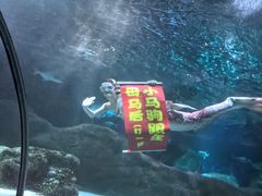 -大连圣亚海洋世界