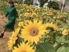 -情侣路