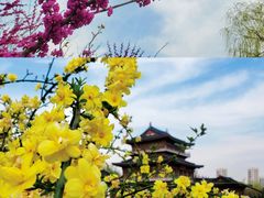 -石湖景区