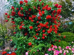 -香炉礁家具市场