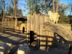 -圣露庄园·露营·烤肉·亲子