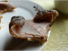 滚好的肉肉-荔城生鲜盛宴(番禺旗舰店)